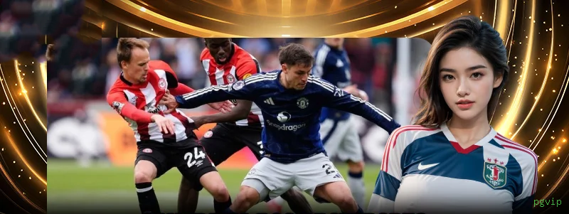 Suporte Qualidade pgvip